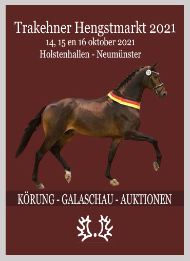 plug compleet vrijgesteld Trakehner Contact Nederland » 2011 » oktober
