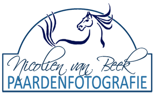paard-grijs-logo-nicolienklein