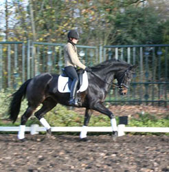 saskia