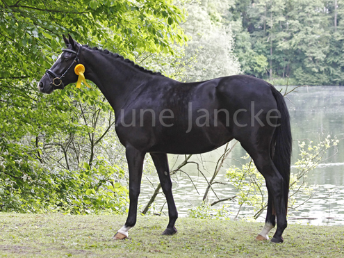 Ambiente_ZSERhl15-®Lune_Jancke