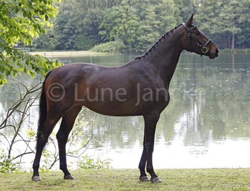 MatrisVotasMontjuic_ZSERhl15-®Lune-Jancke