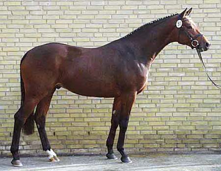 couracius