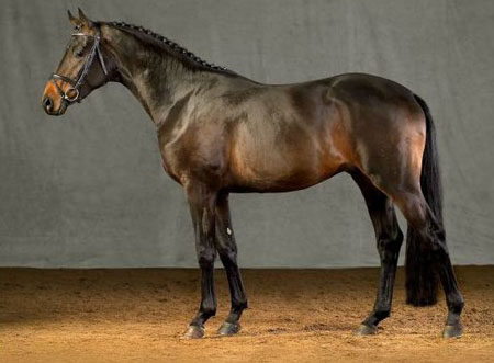iskander