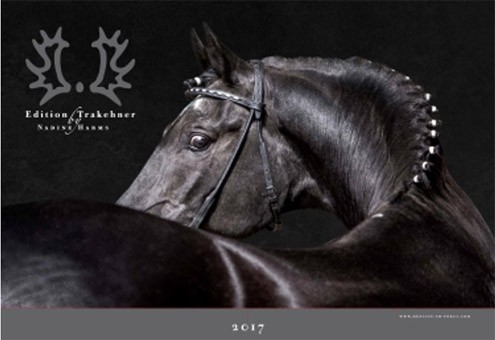 kalender-3