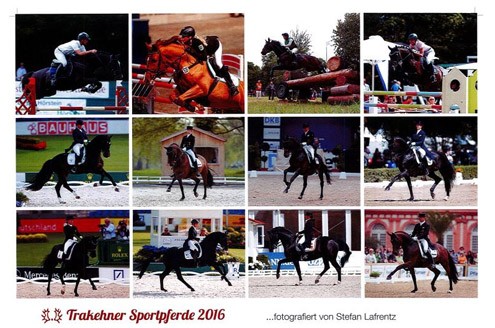 kalender-46