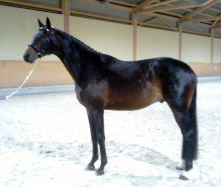 monseigneur