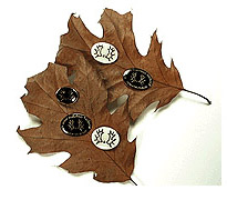 pins-41