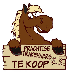 te_koop_trakehners