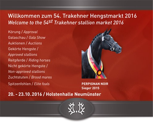 Trakehner Hengstmarkt_Flyer_2016.indd