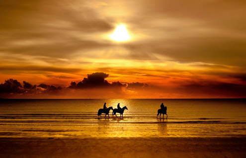 sundown_horse