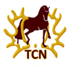tcn_100-logo