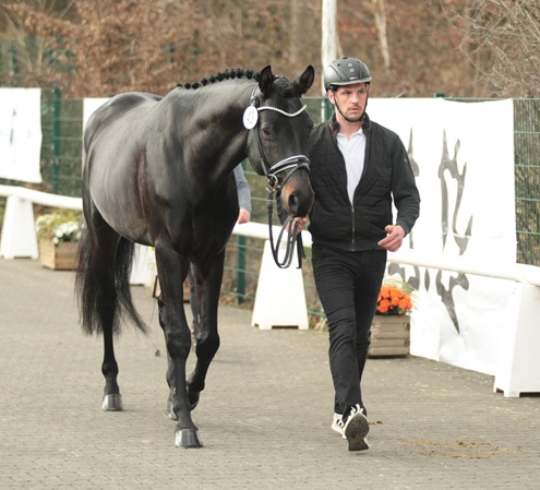 © foto door Gert Brouwer © Fotografie