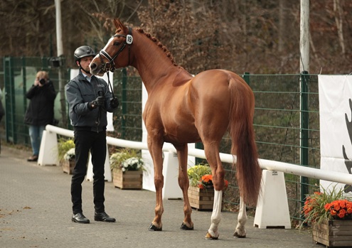© foto door Gert Brouwer © Fotografie
