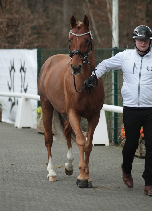 © foto door Gert Brouwer © Fotografie
