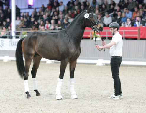 © foto door Gert Brouwer © Fotografie