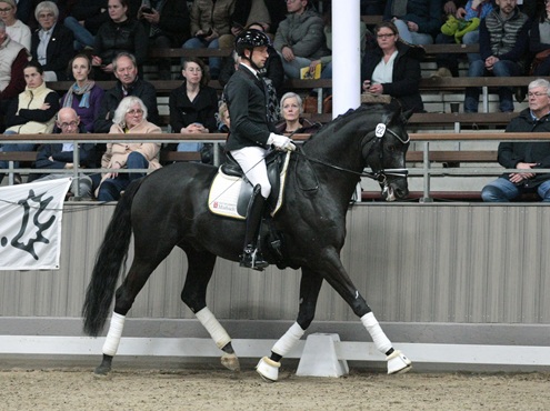 © foto door Gert Brouwer © Fotografie