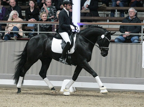 © foto door Gert Brouwer © Fotografie