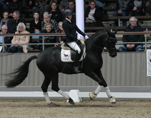 © foto door Gert Brouwer © Fotografie