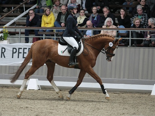 © foto door Gert Brouwer © Fotografie