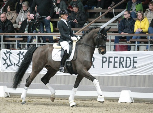 © foto door Gert Brouwer © Fotografie