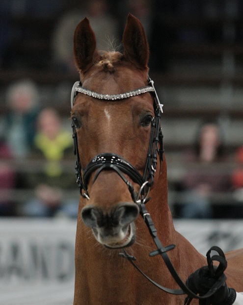 © foto door Gert Brouwer © Fotografie