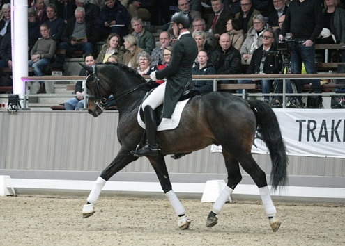 © foto door Gert Brouwer © Fotografie