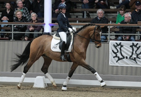 © foto door Gert Brouwer © Fotografie