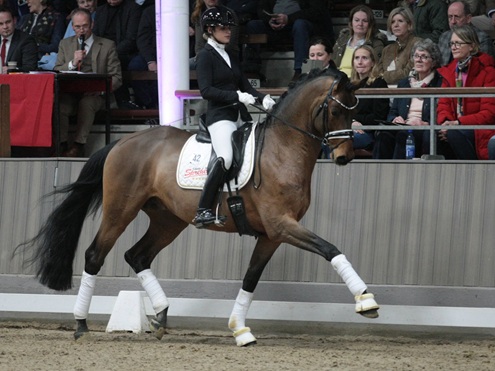 © foto door Gert Brouwer © Fotografie