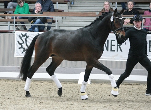 © foto door Gert Brouwer © Fotografie