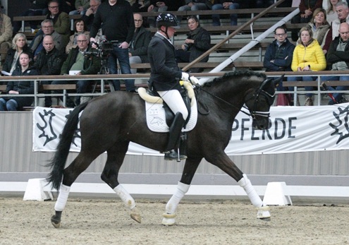 © foto door Gert Brouwer © Fotografie