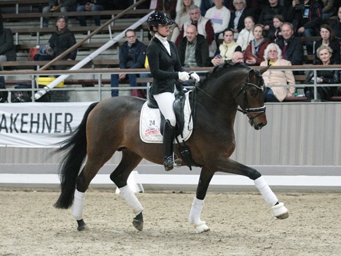 © foto door Gert Brouwer © Fotografie