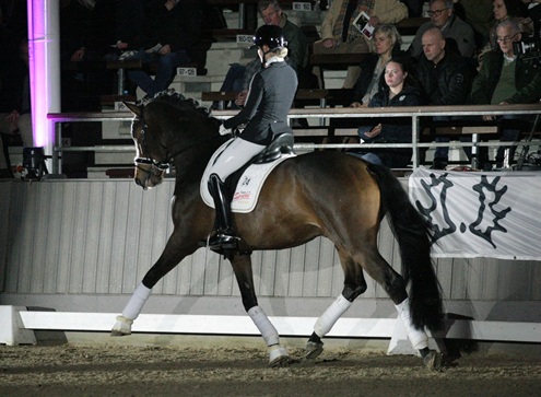 © foto door Gert Brouwer © Fotografie