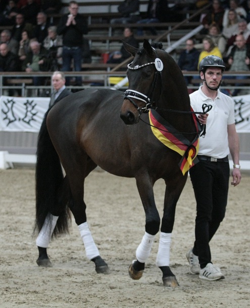 © foto door Gert Brouwer © Fotografie